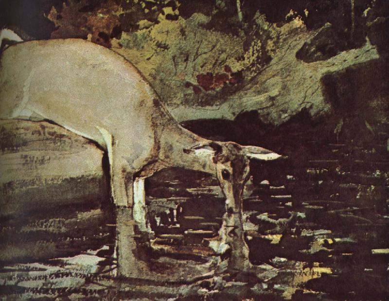Winslow Homer Deer drink France oil painting art